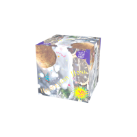 Новогодняя ночь Салют купить в Южно-Сахалинске | yuzhno-sahalinsk.salutsklad.ru