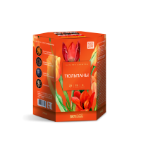 Тюльпаны Салют купить в Южно-Сахалинске | yuzhno-sahalinsk.salutsklad.ru
