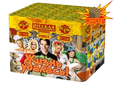 Жизнь удалась Фейерверк купить в Южно-Сахалинске | yuzhno-sahalinsk.salutsklad.ru