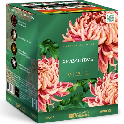 Хризантемы Фейерверк купить в Южно-Сахалинске | yuzhno-sahalinsk.salutsklad.ru